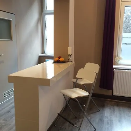 Mlynska15 Self Check-in 24h 公寓 卡托维兹