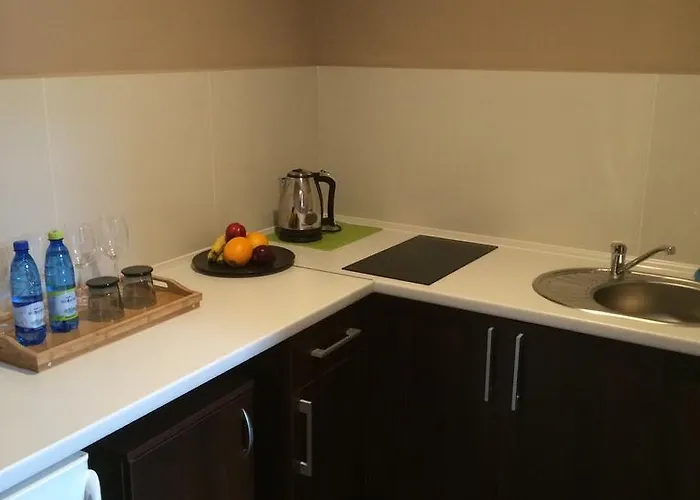 Apartamenty Mlynska15 Self Check-In 24H * Katowice