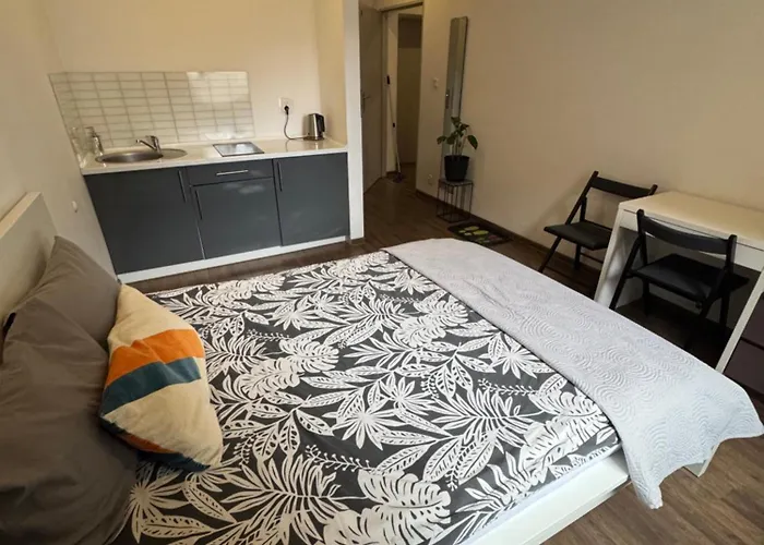Apartamenty Mlynska15 Self Check-In 24H Apartment Kattowitz